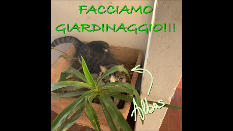 Facciamo giardinaggio?